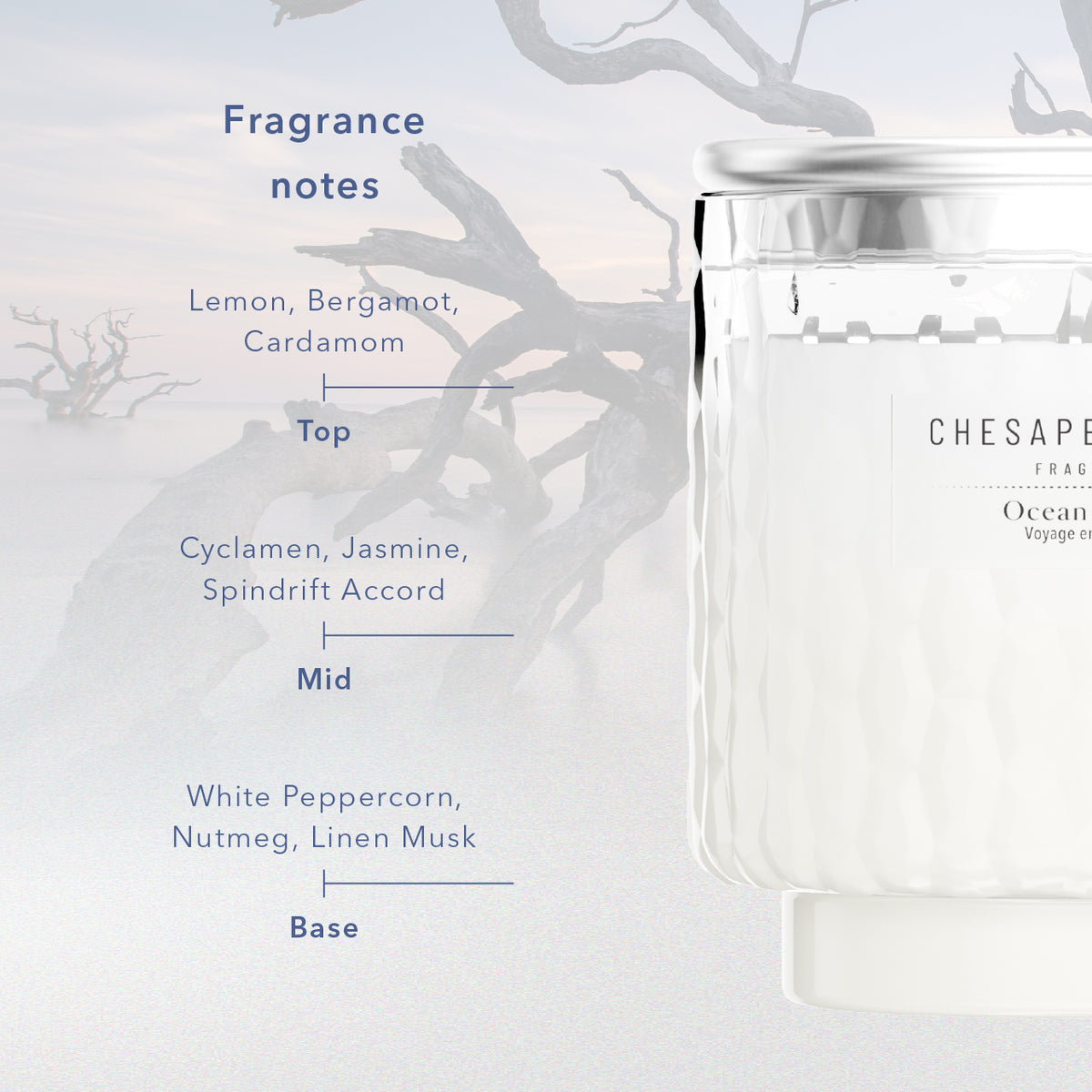 Ocean Retreat Chesapeake Bay Medium Candle