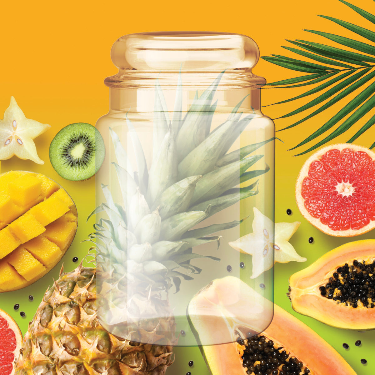 Exotic Fruits Home Inspiration Wax Melt Block