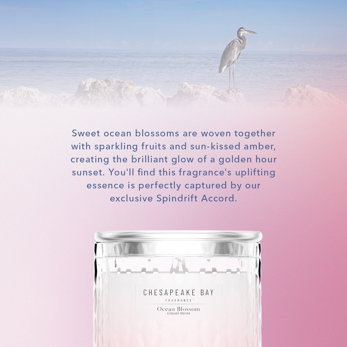 Ocean Blossom Chesapeake Bay Large Candle