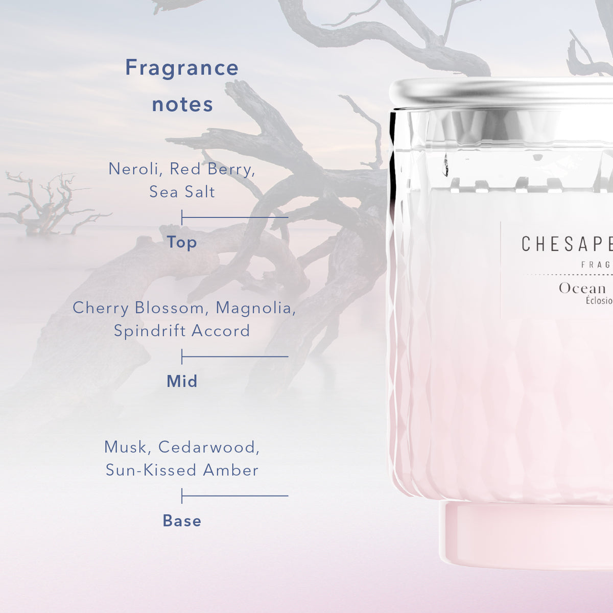 Ocean Blossom Chesapeake Bay Large Candle