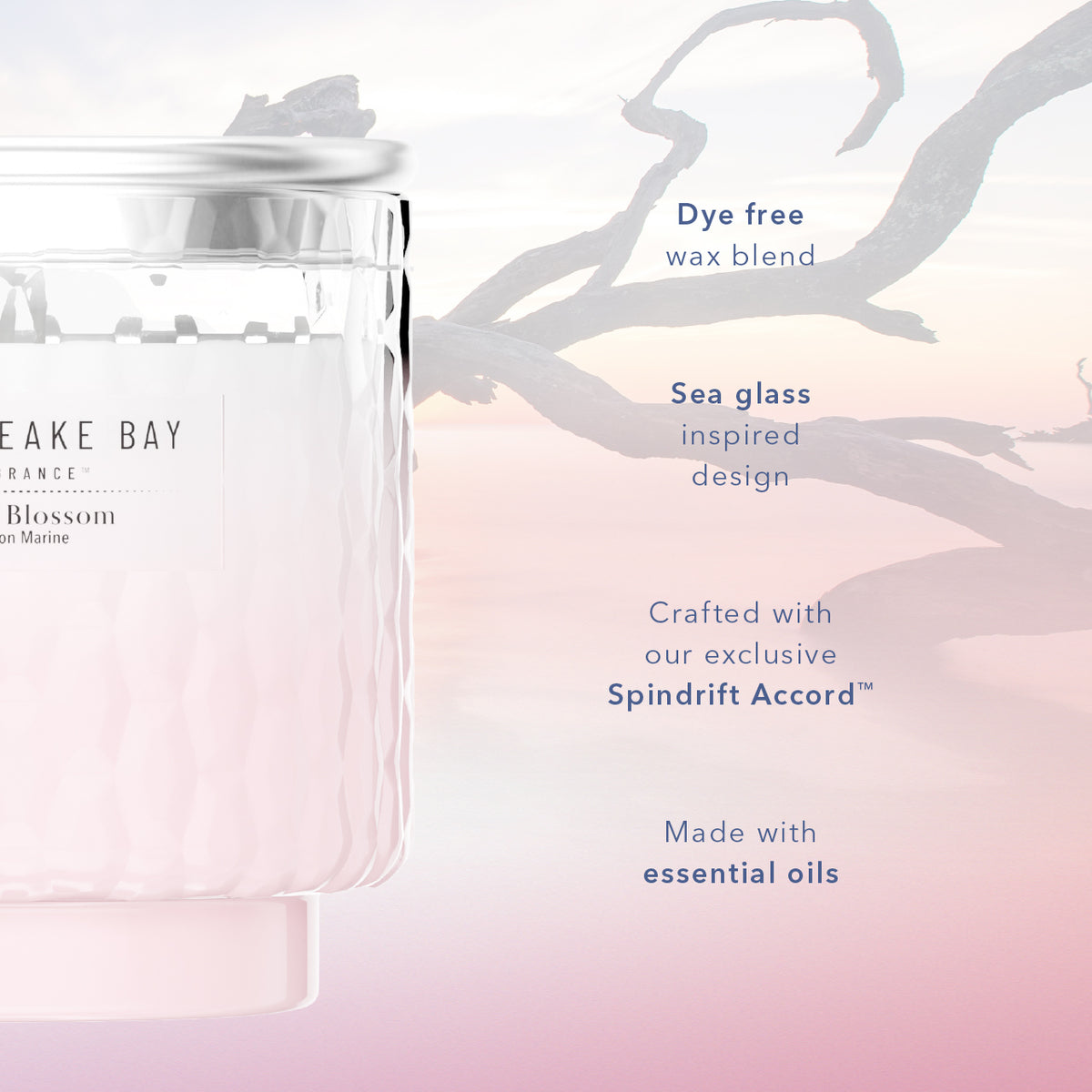 Ocean Blossom Chesapeake Bay Medium Candle