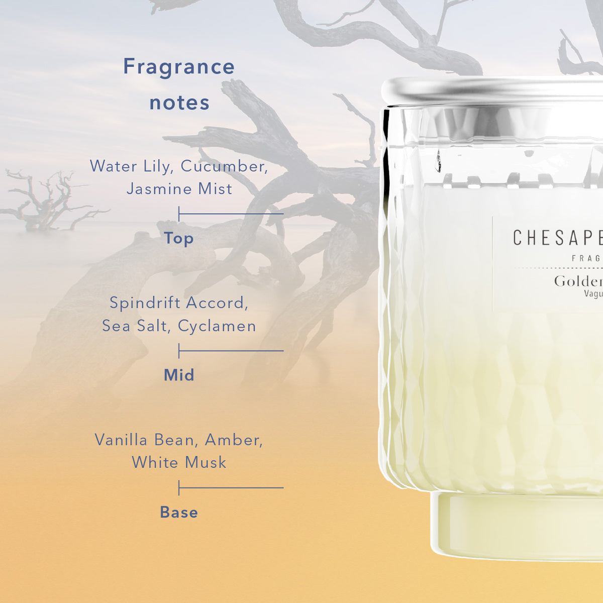 Golden Waves Chesapeake Bay Medium Candle