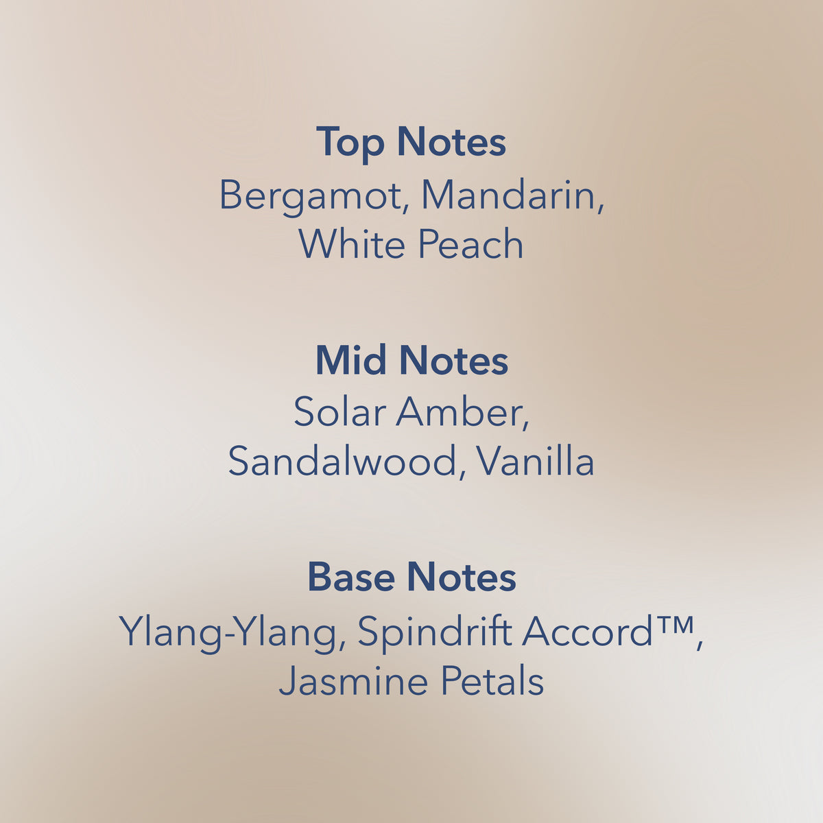 Salted Sands Chesapeake Bay Large Candle