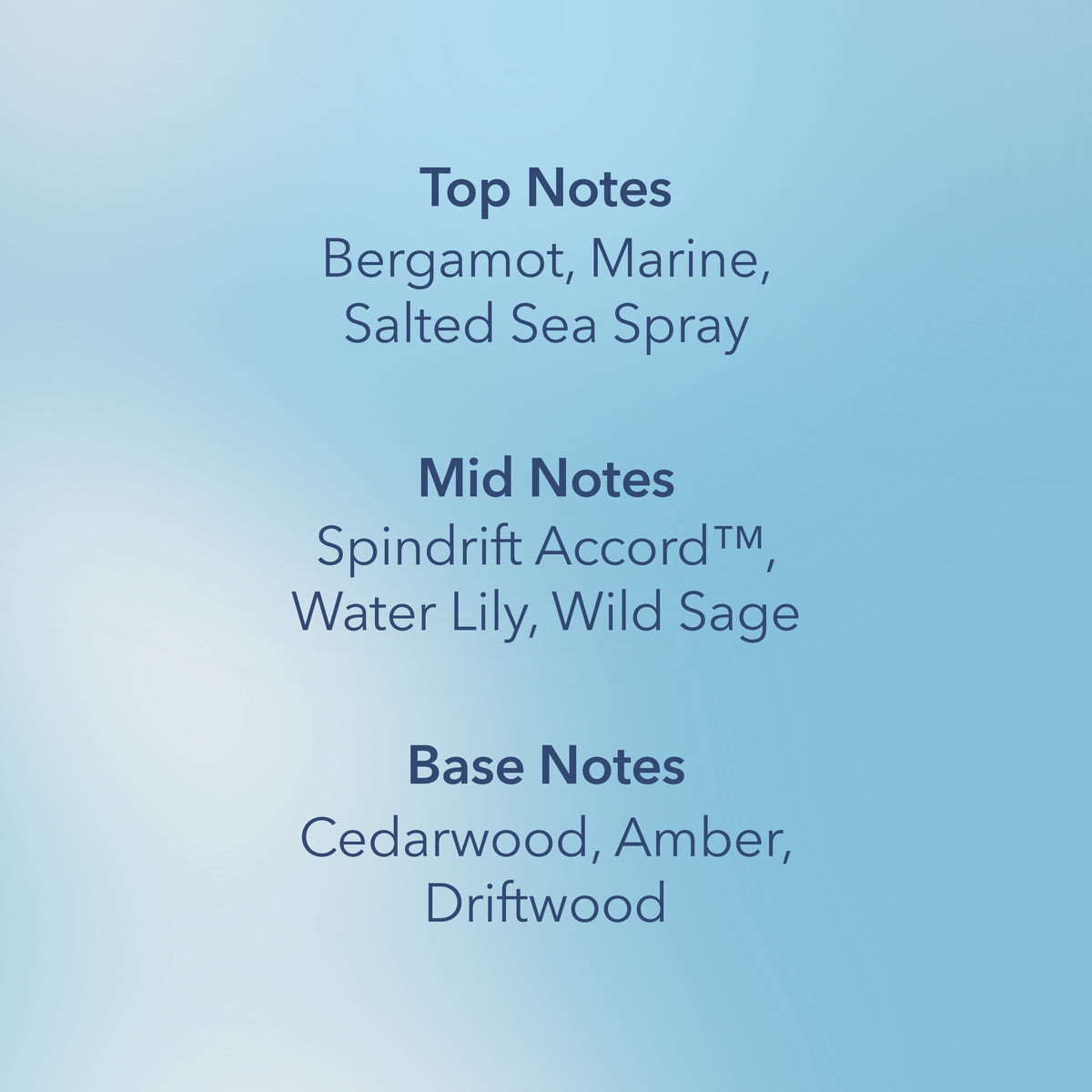 Serene Waters Chesapeake Bay Large Candle