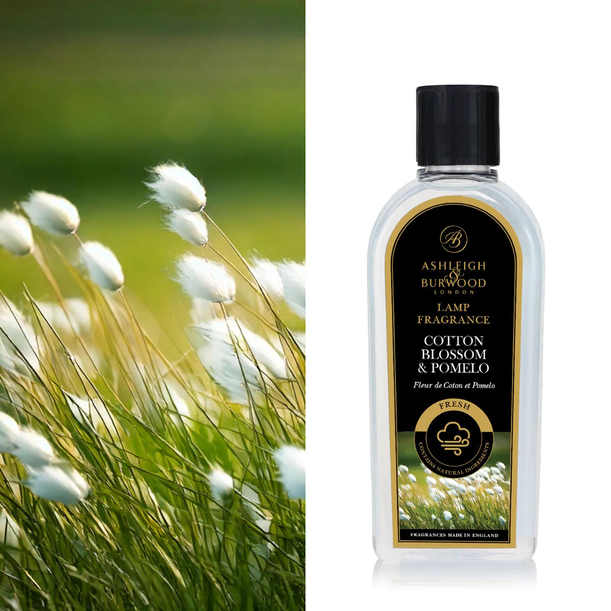 Cotton Blossom & Pomelo 500ml Lamp Fragrance - SUMMER SALE