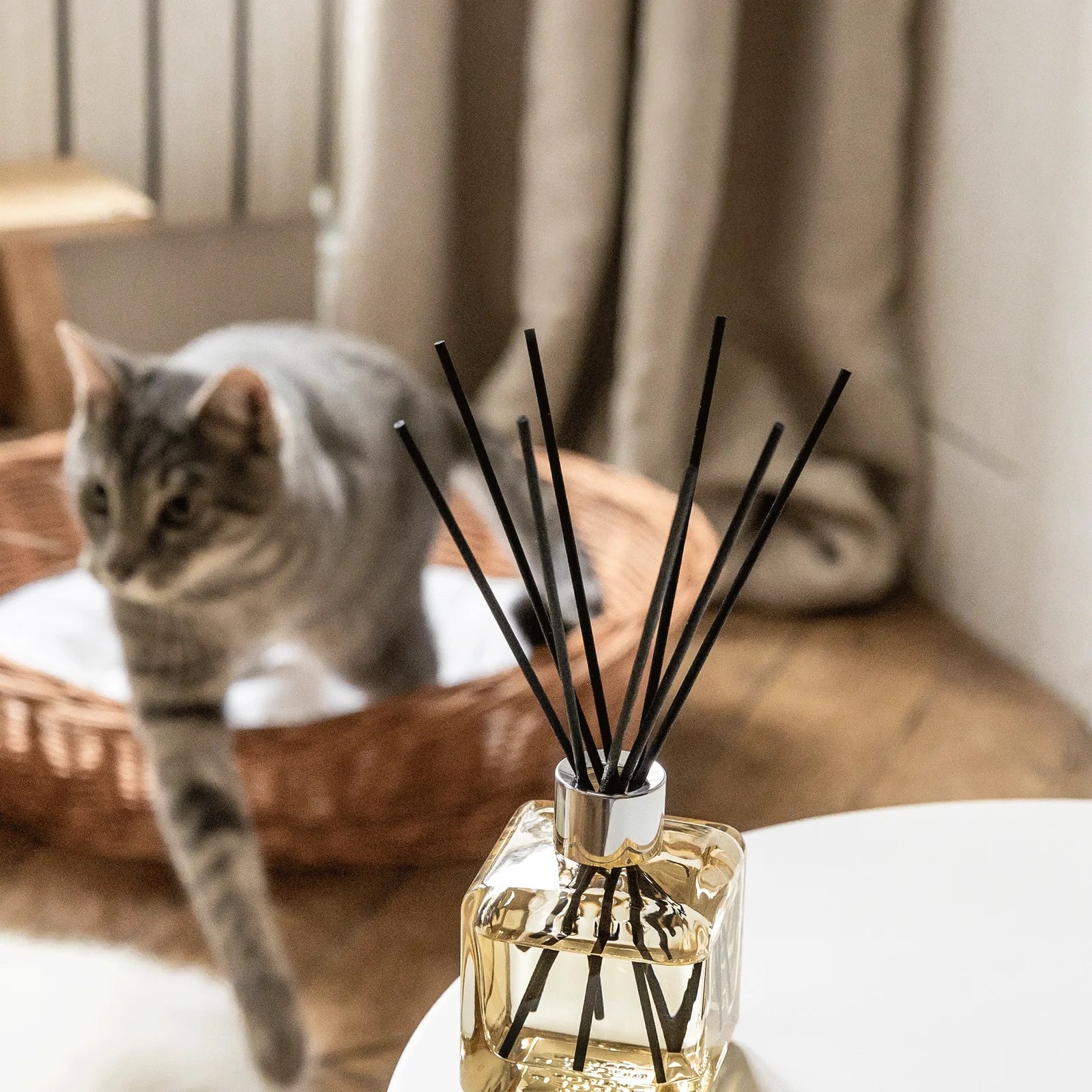 Free From  Pet Odours Scented Reed Diffuser