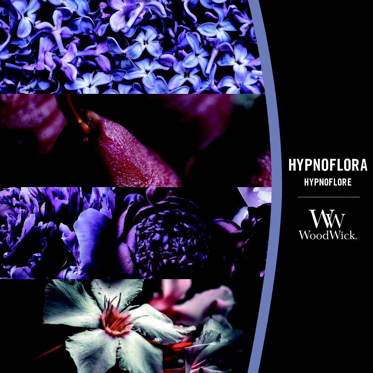 Hypnoflora - WoodWick Large Jar - SALE
