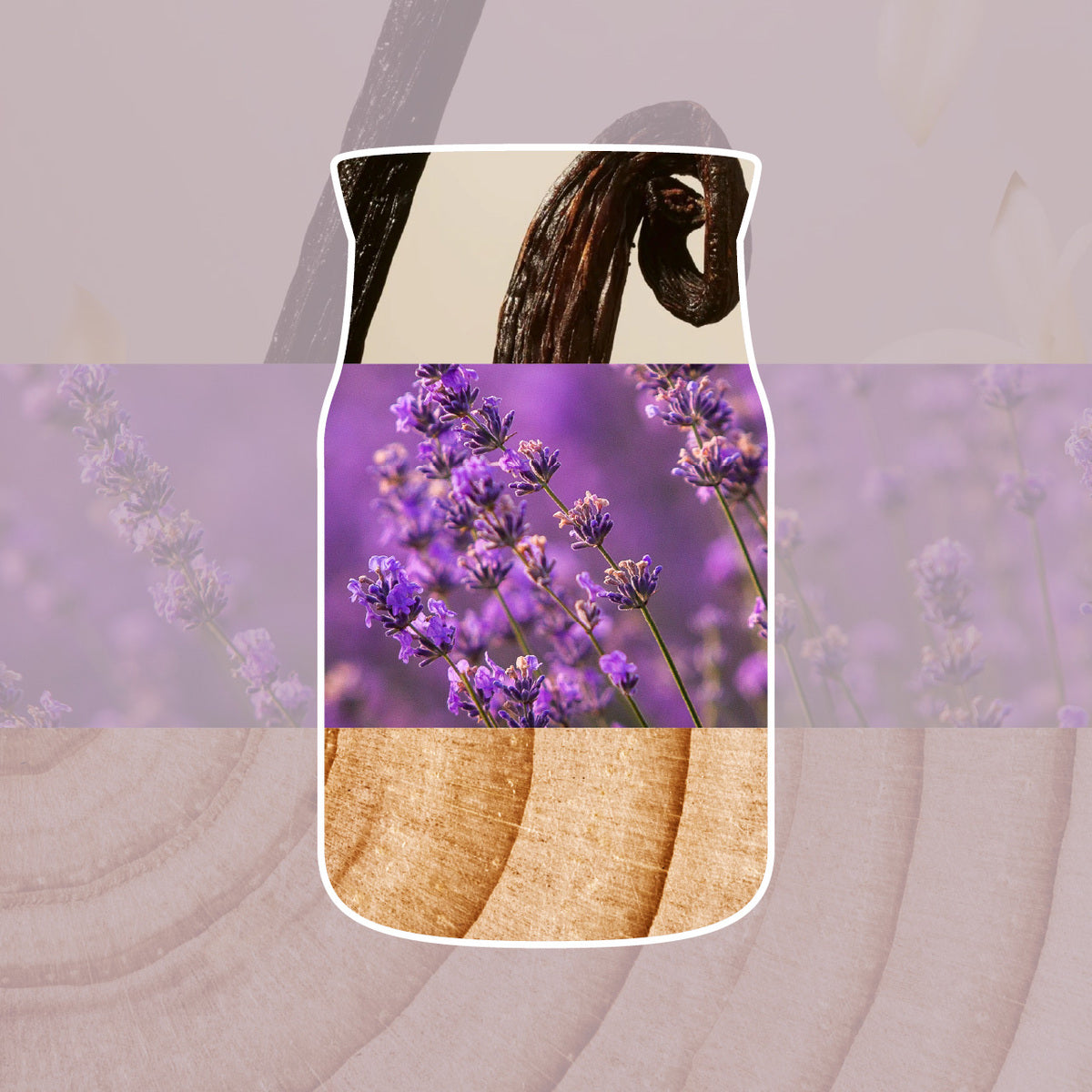 Dried Lavender & Oak Medium Jar