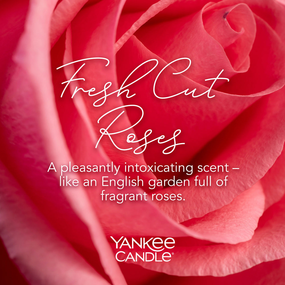 Fresh Cut Roses Signature Large Jar - SALE