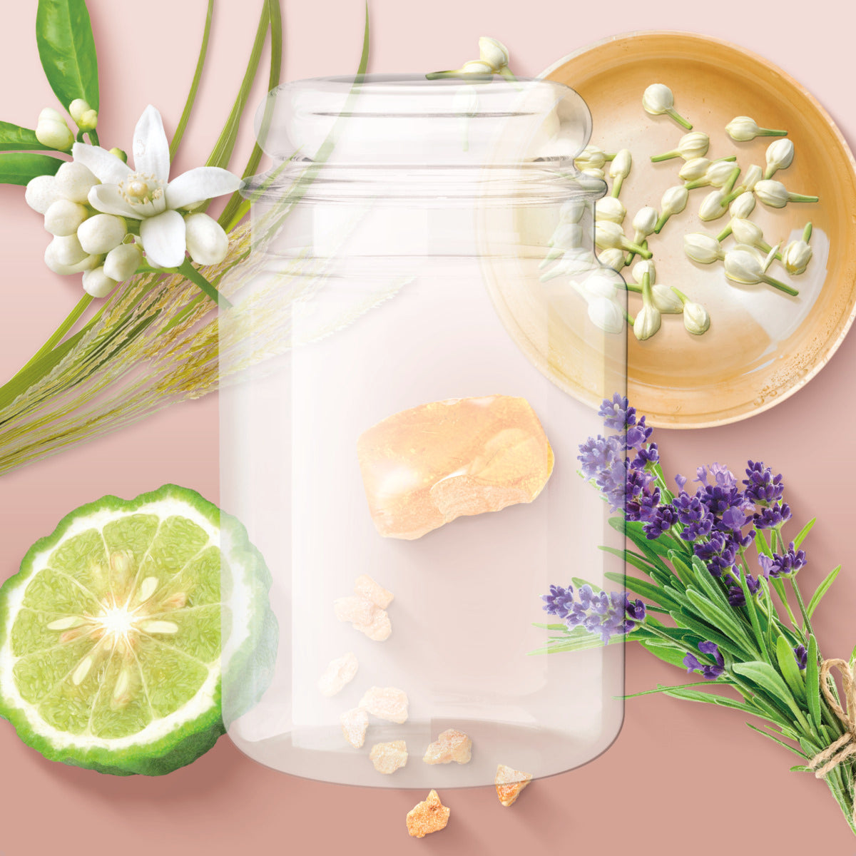 Sun Kissed Blooms Home Inspiration Large Jar - NEW 2026