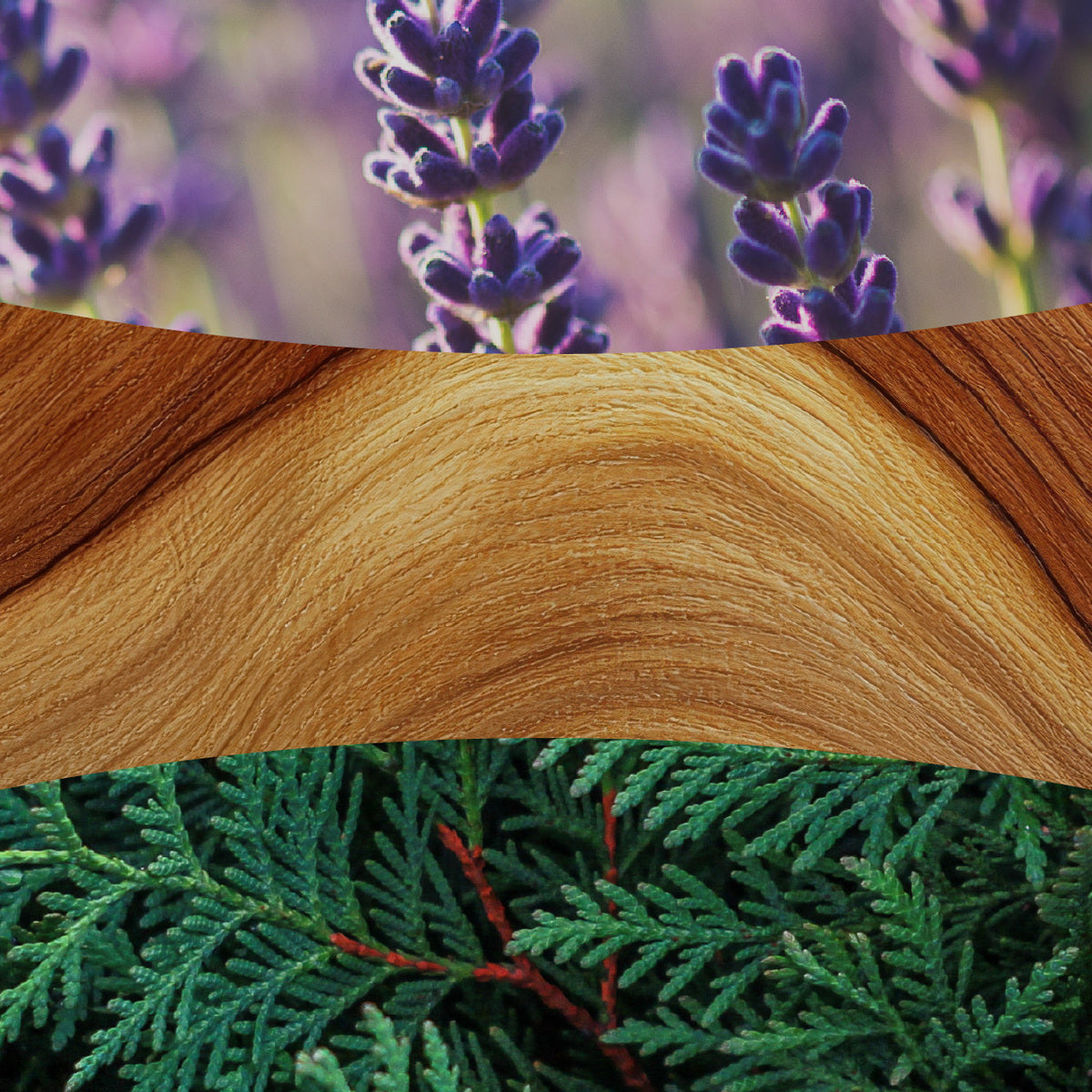 Lavender & Cedar WoodWick Large Hourglass Candle