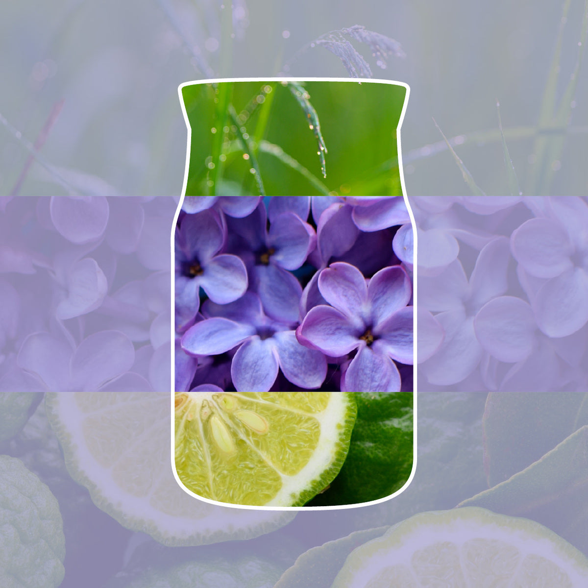 Lilac Blossoms Large Jar