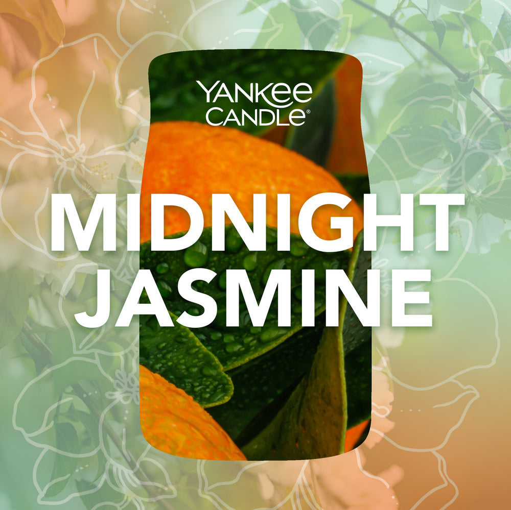 Midnight Jasmine Signature Large Jar - SALE