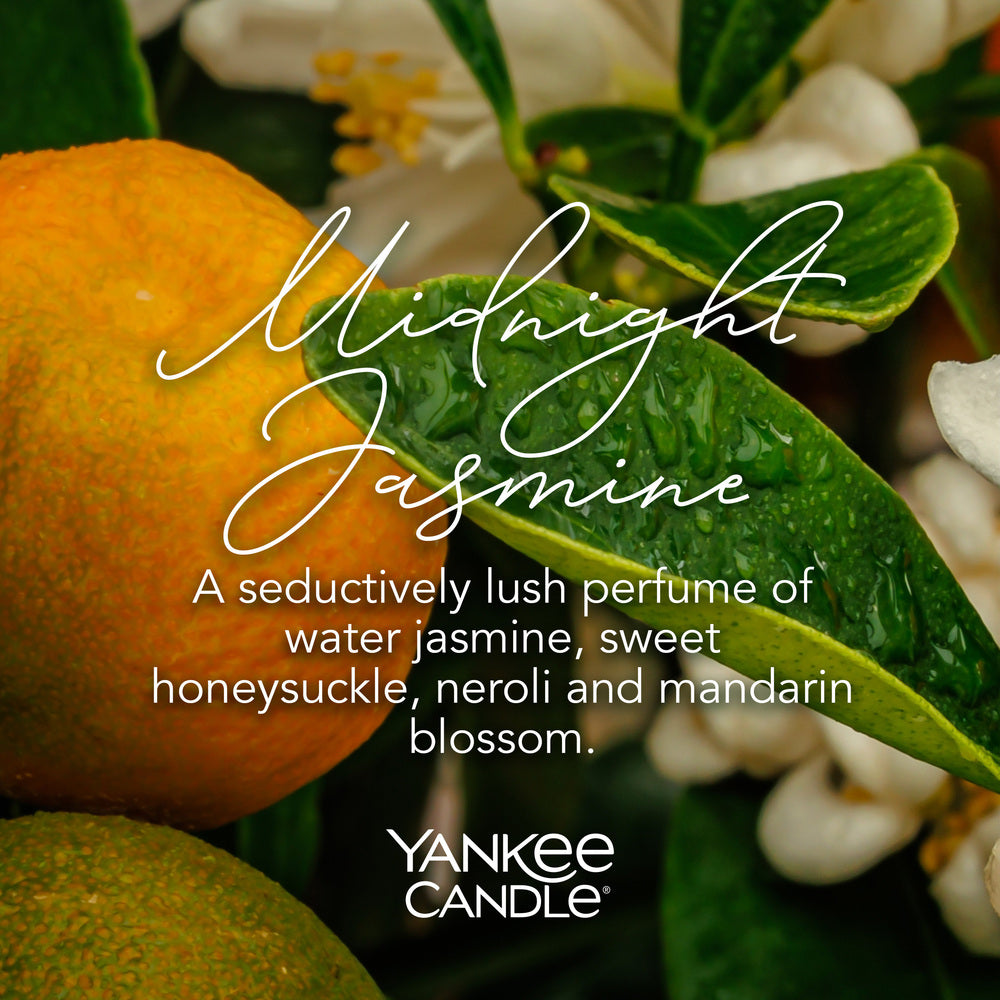 Midnight Jasmine Signature Large Jar - SALE