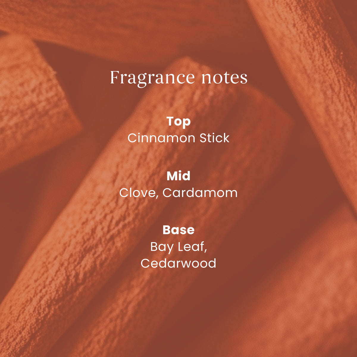 Cinnamon Stick Large Jar
