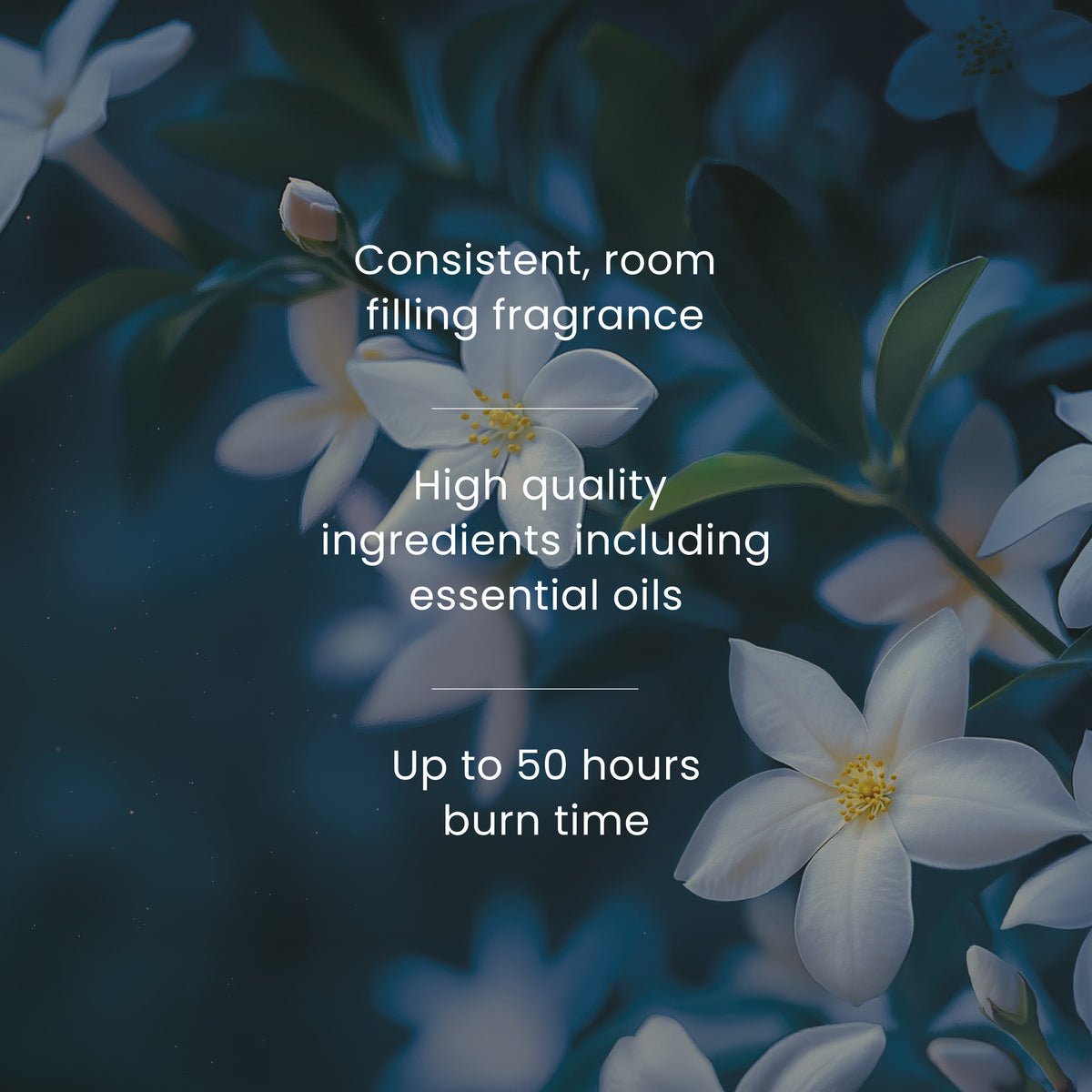 Midnight Jasmine Large Jar