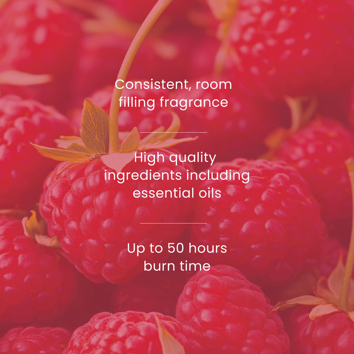 Red Raspberry Small Jar