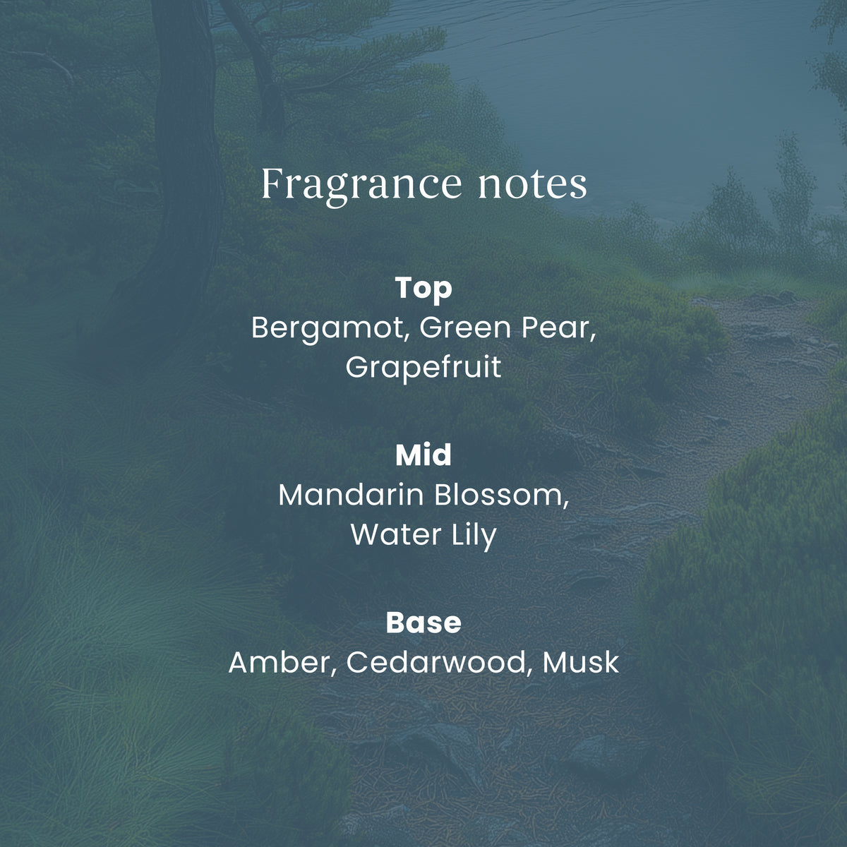 Bayside Cedar Yankee Reed Diffuser