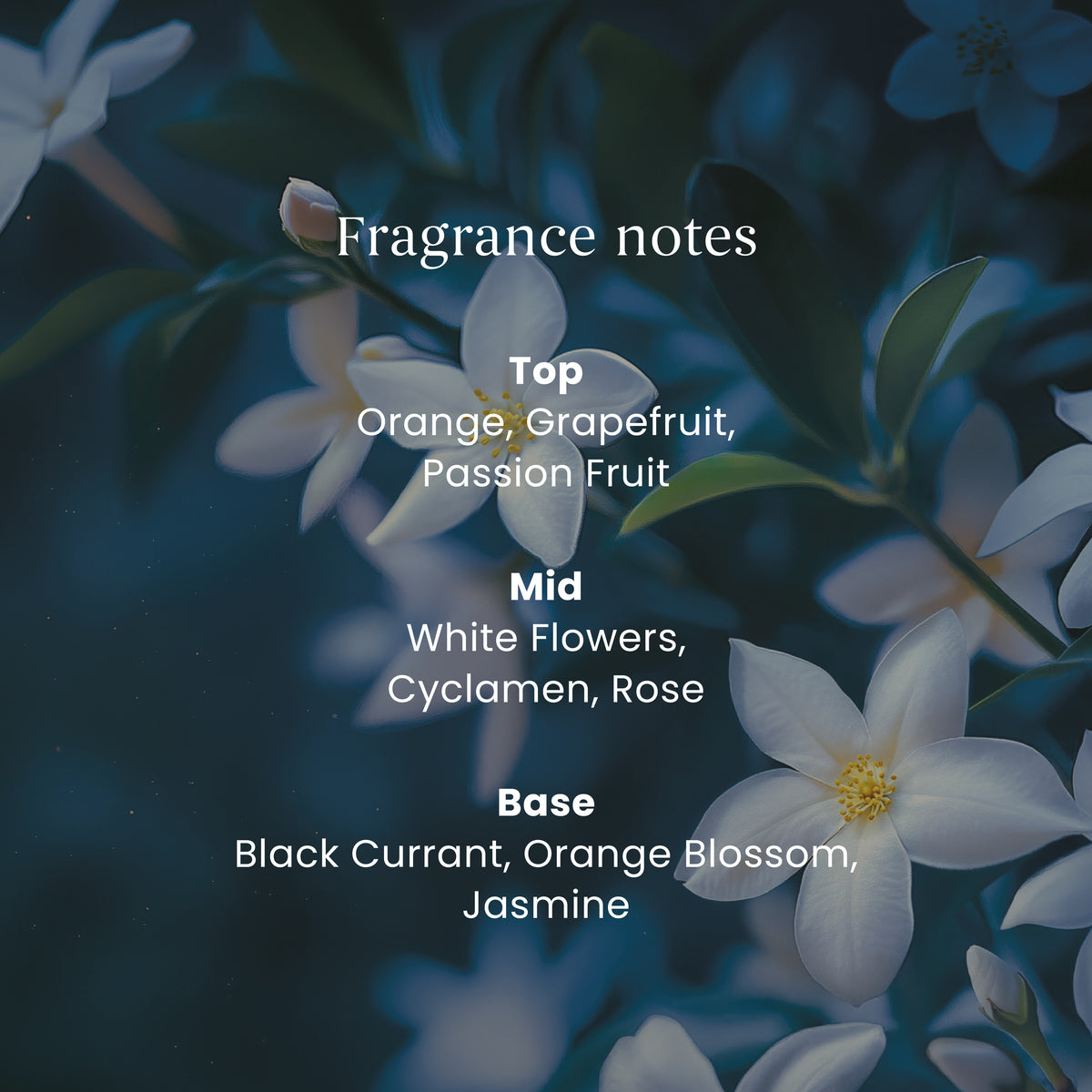 Midnight Jasmine Yankee Reed Diffuser