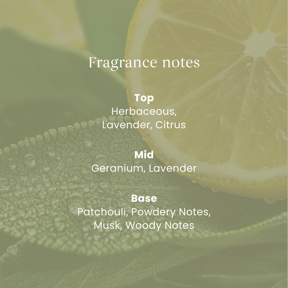 Sage & Citrus Mini Candle