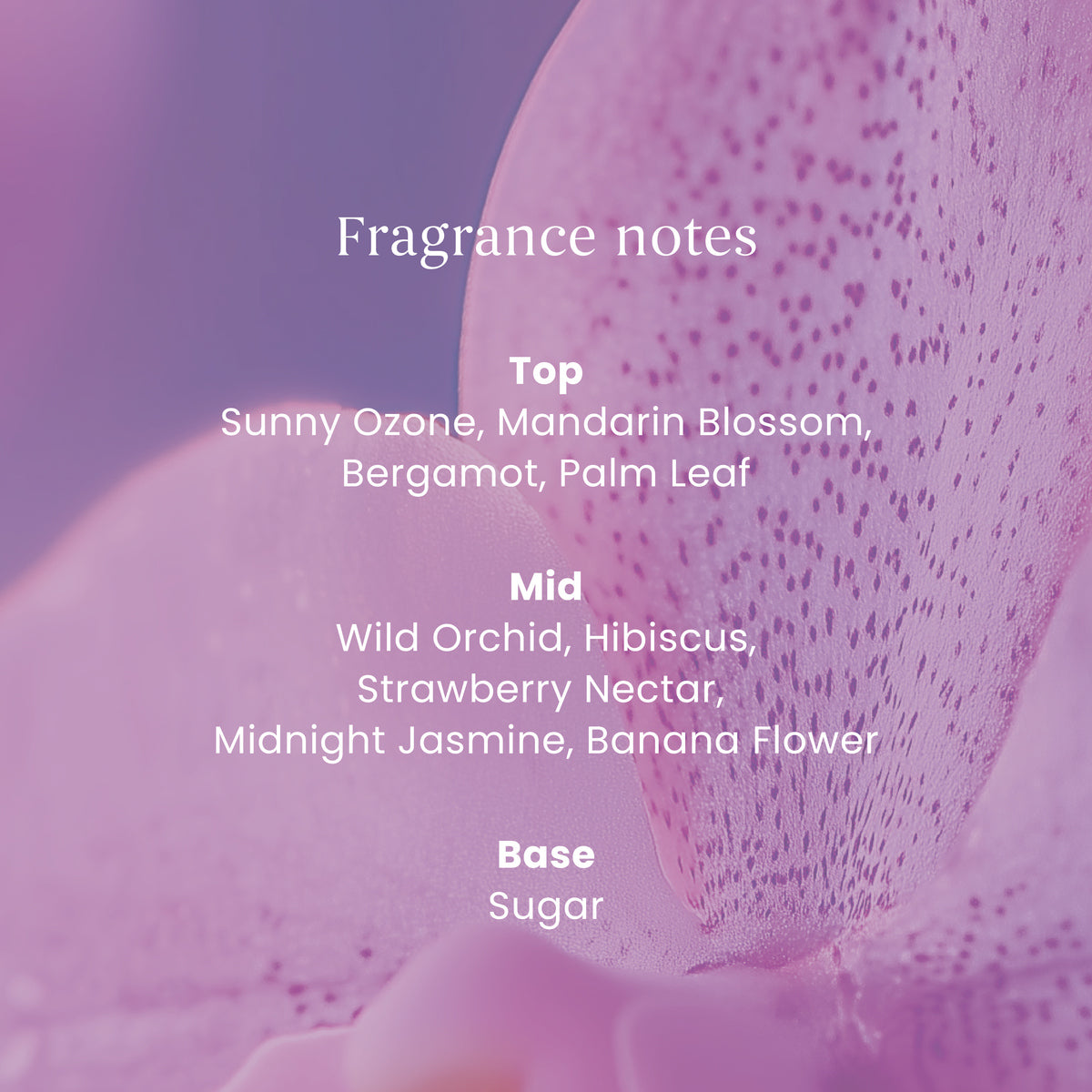 Wild Orchid Yankee Reed Diffuser - 100ml