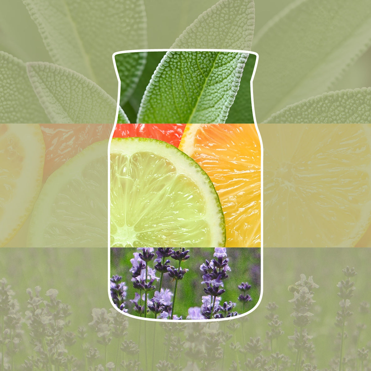 Sage & Citrus Large Jar