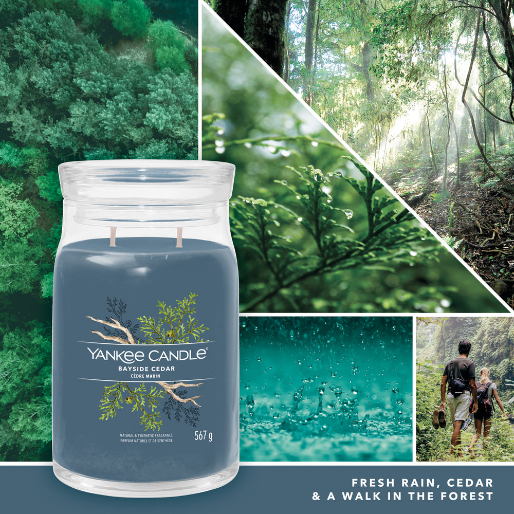 Bayside Cedar Signature Large Jar - SALE