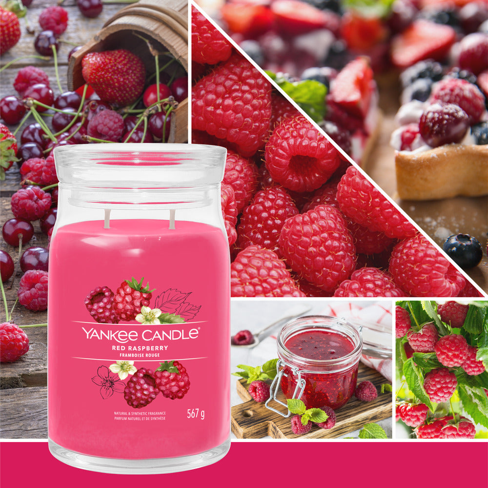 Red Raspberry Signature Large Jar - SALE