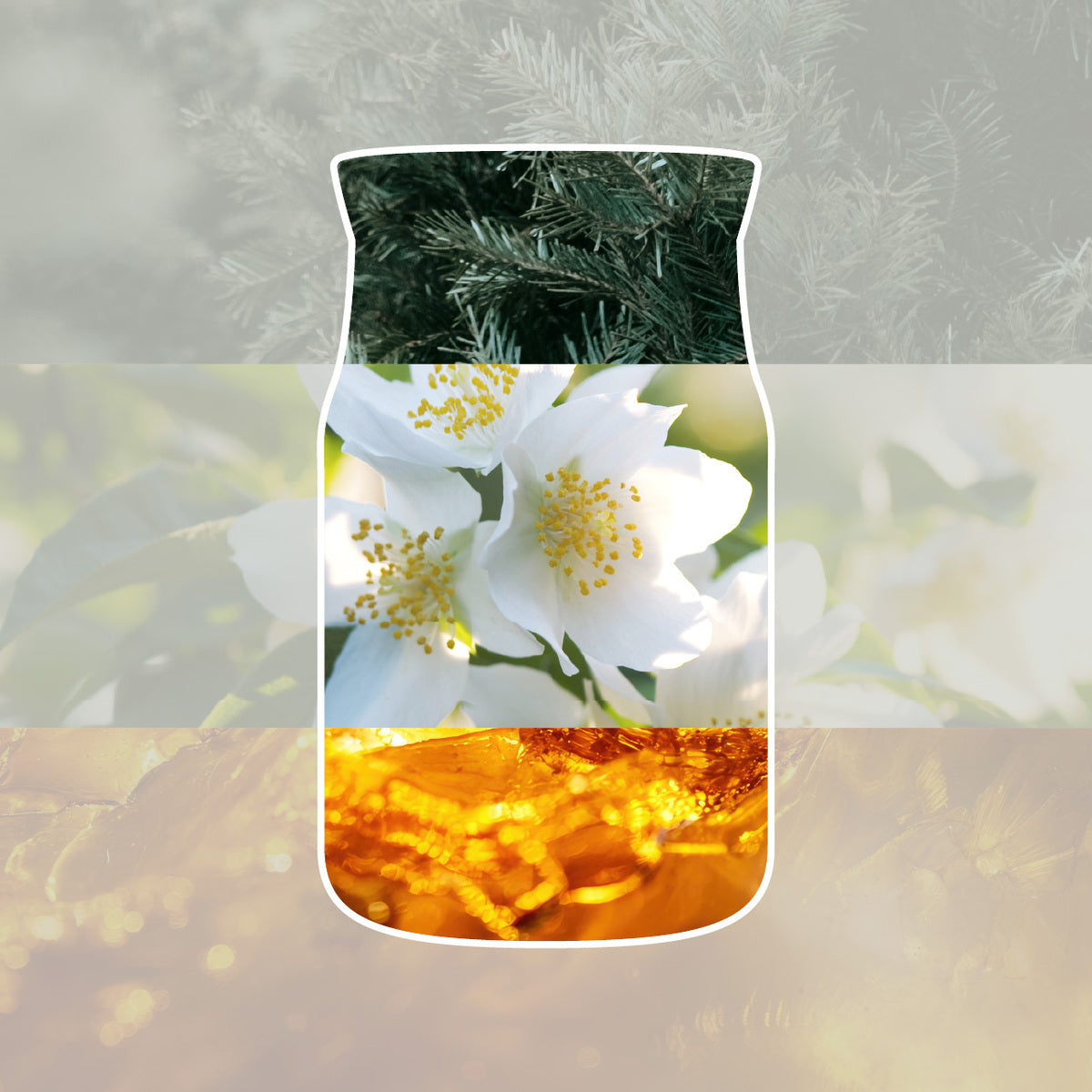 Silver Birch Mini Candle