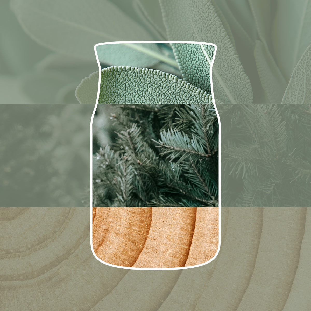 Silver Sage & Pine Medium Jar