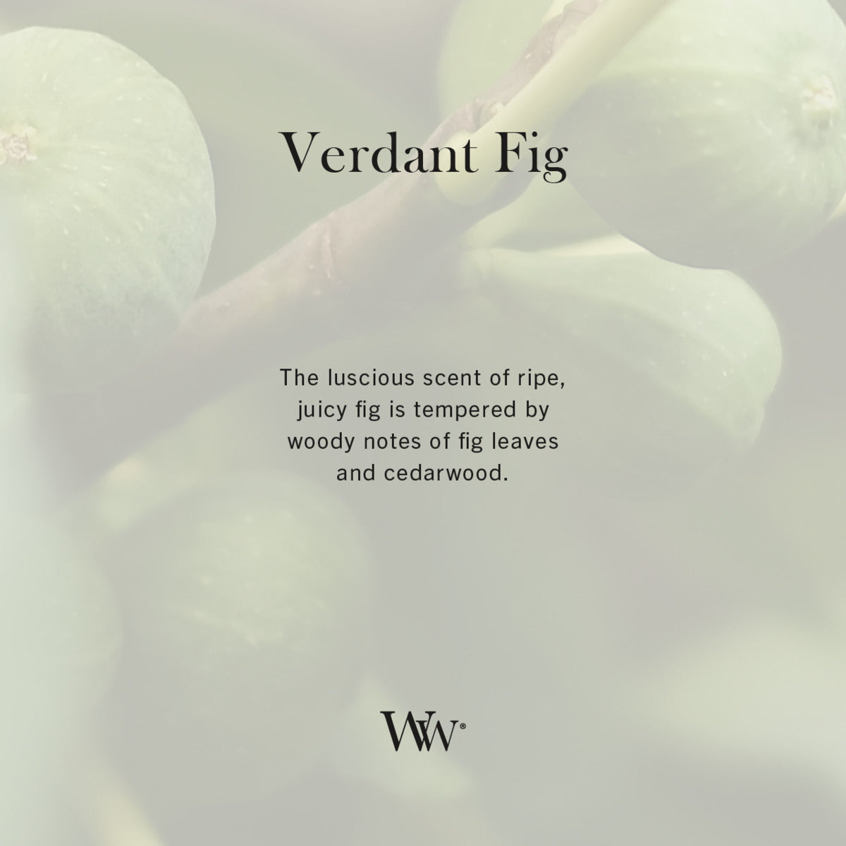 Verdant Fig WoodWick Large Hourglass Candle