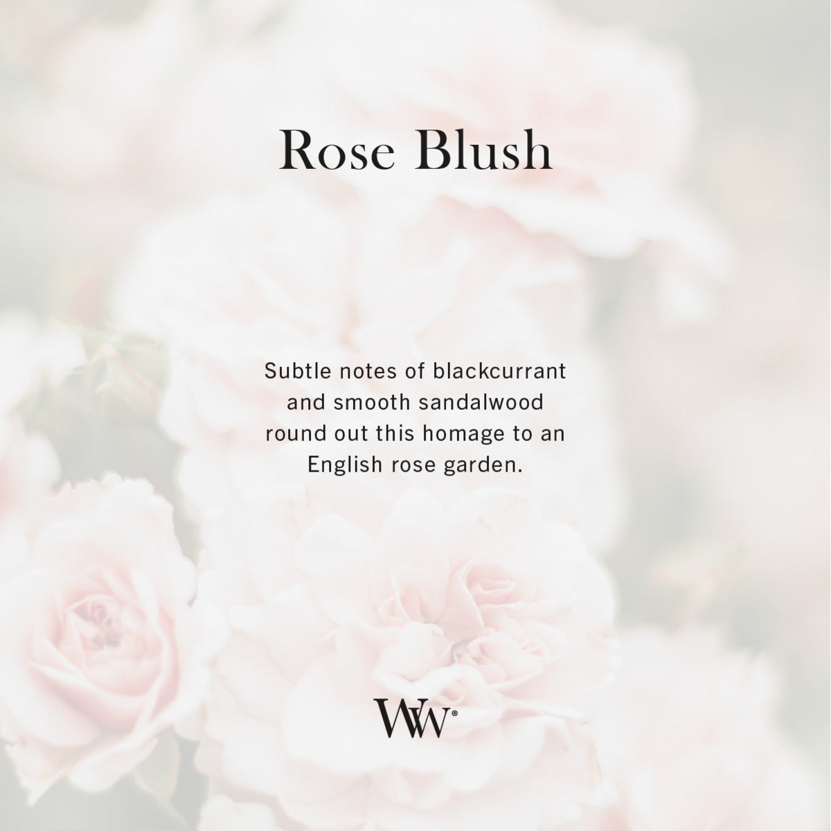 Rose Blush WoodWick Ellipse Candle