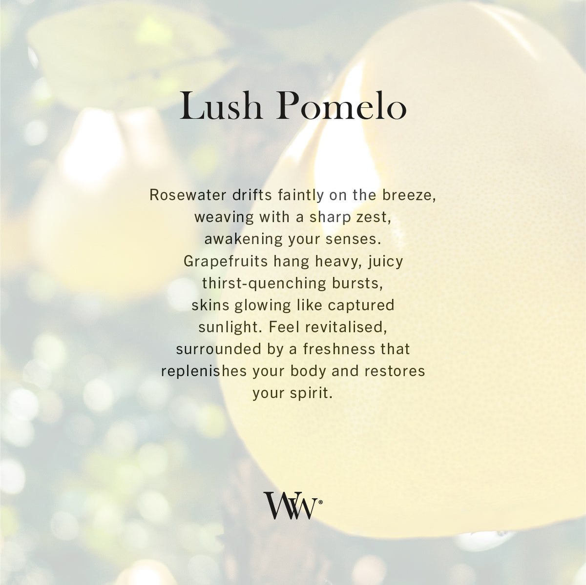 Lush Pomelo WoodWick Mini Hourglass Candle