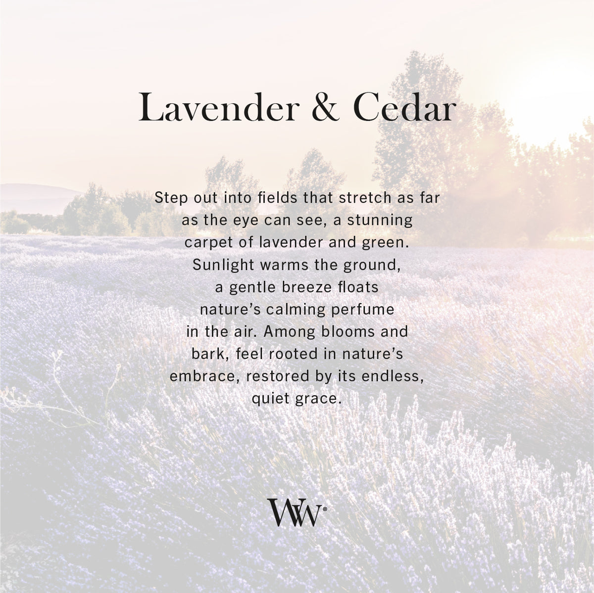 Lavender & Cedar WoodWick Mini Hourglass Candle