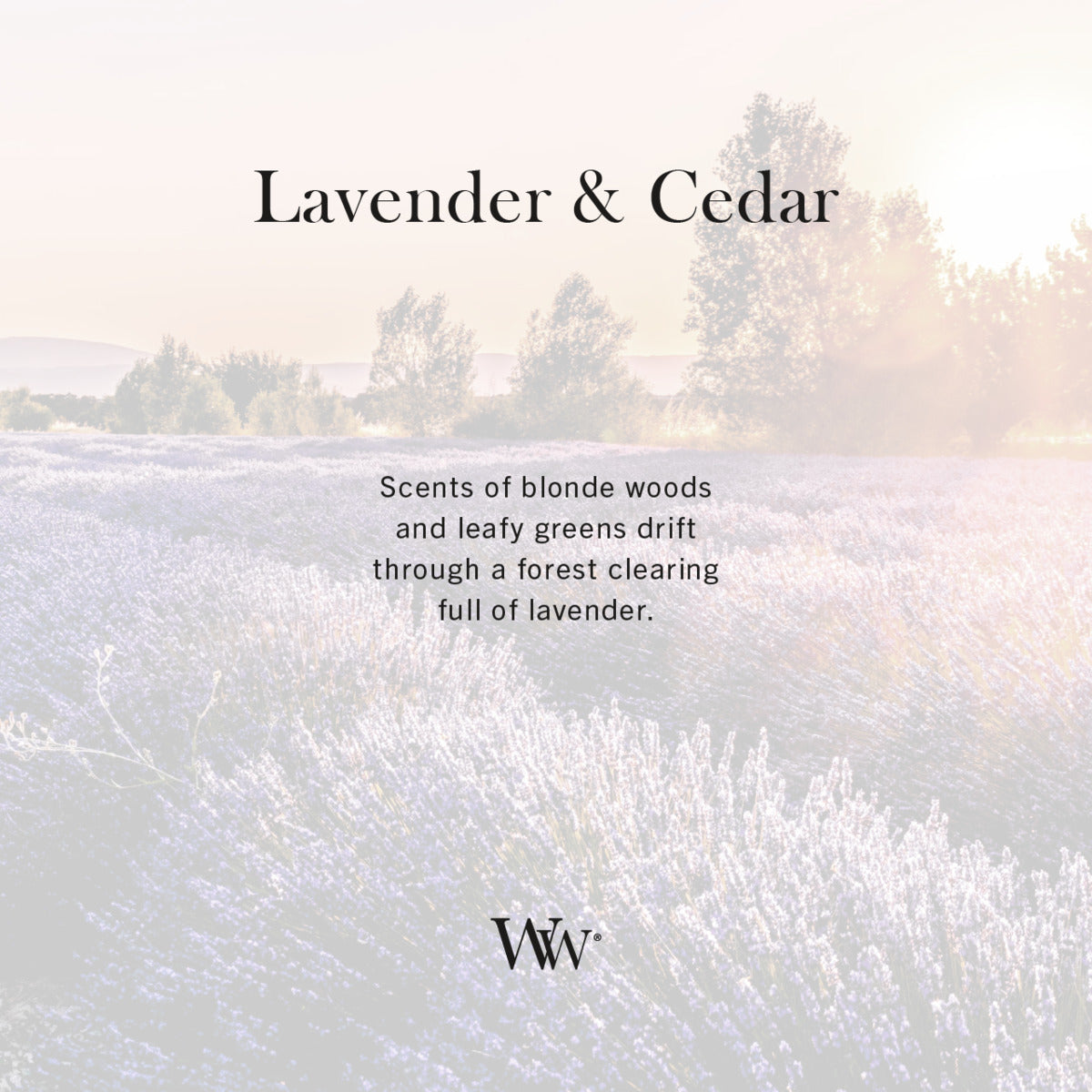 Lavender & Cedar WoodWick Ellipse Candle