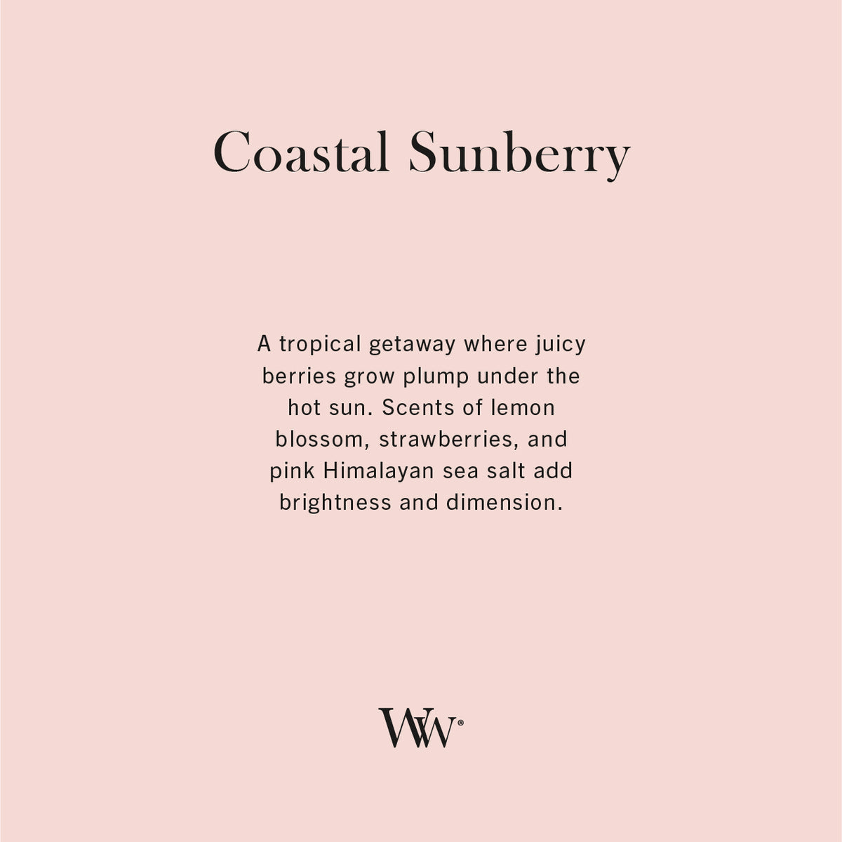 Coastal Sunberry WoodWick Mini Hourglass Candle -