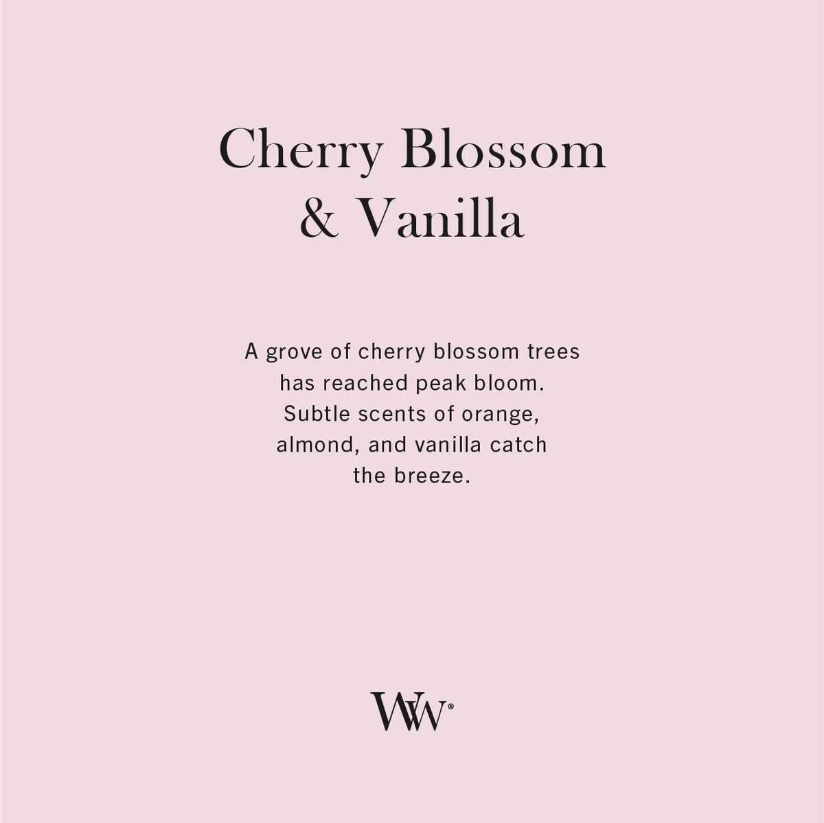 Cherry Blossom & Vanilla WoodWick Ellipse Candle