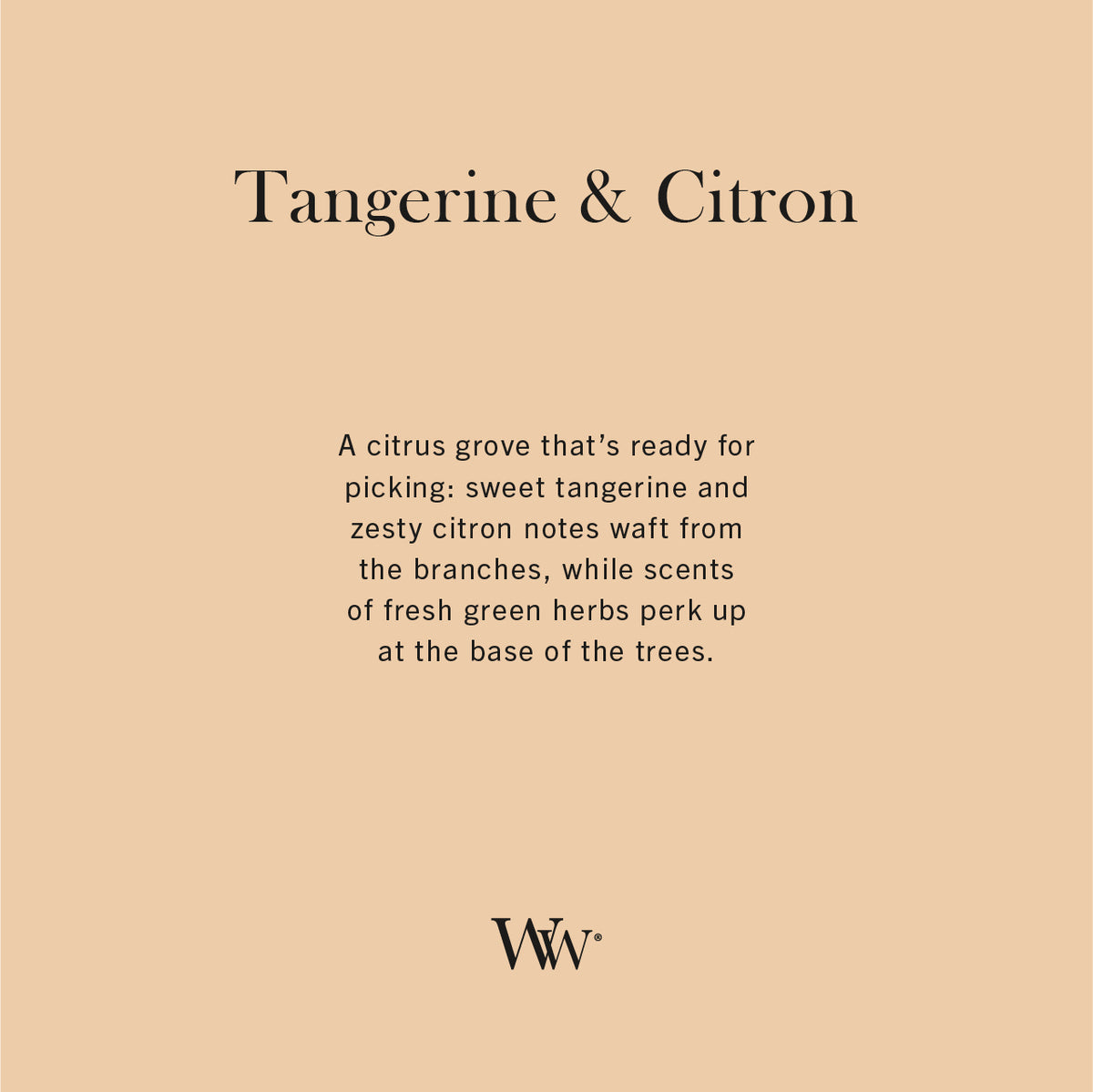 Tangerine & Citron WoodWick Medium Hourglass Candle