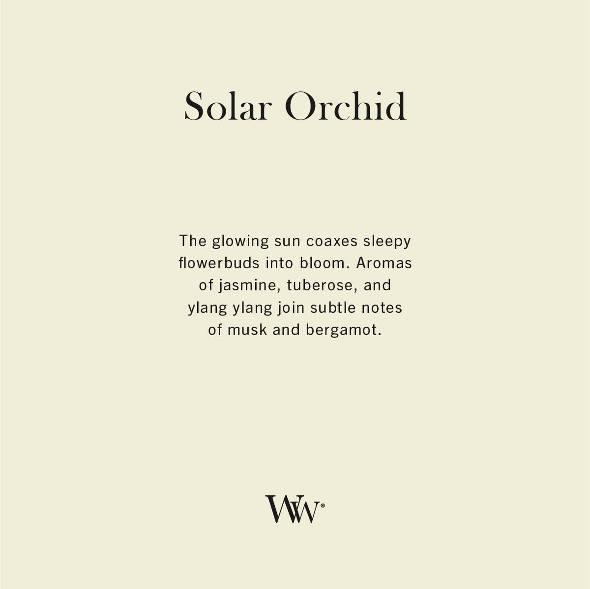 Solar Orchid WoodWick Ellipse Candle