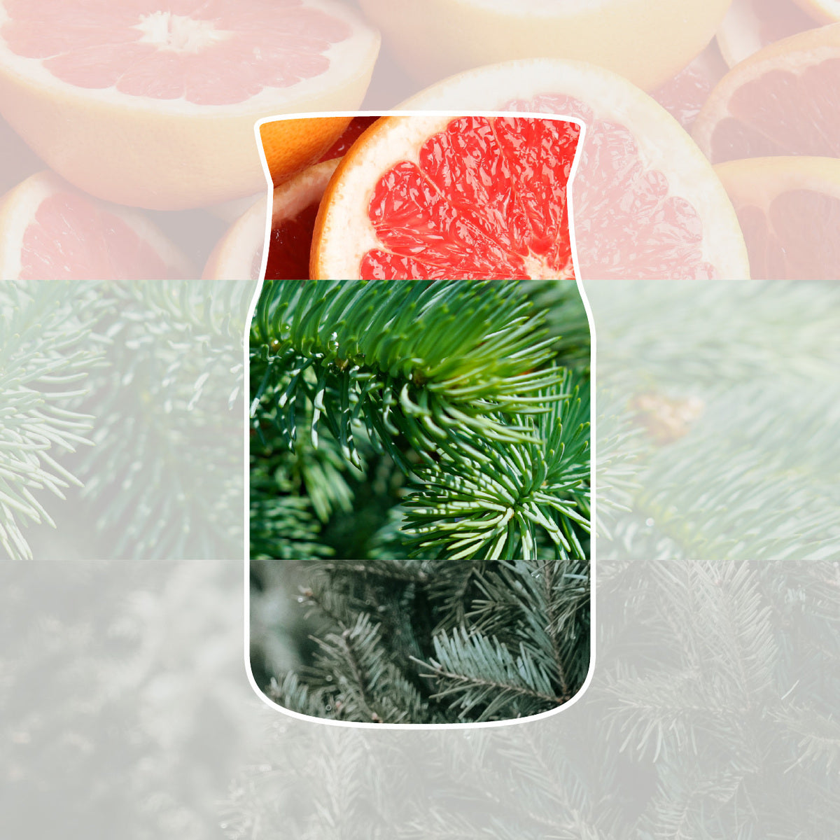White Spruce & Grapefruit Small Jar