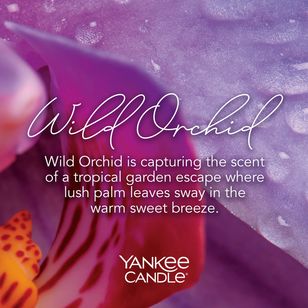 Wild Orchid Signature Large Jar - SALE