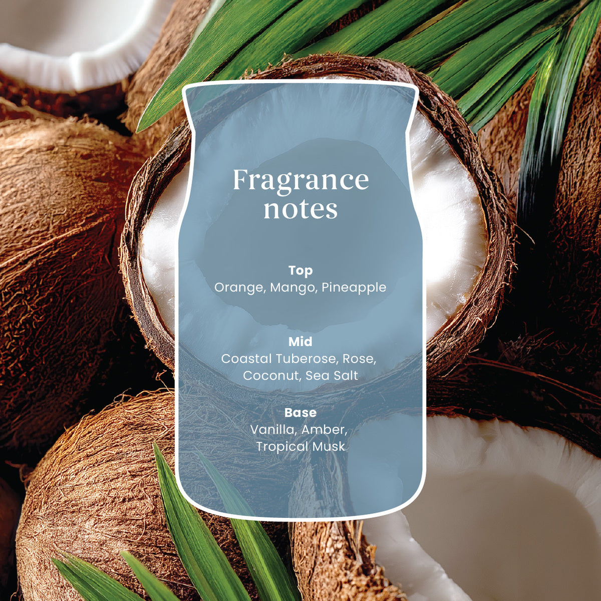 Salted Coconut Small Jar