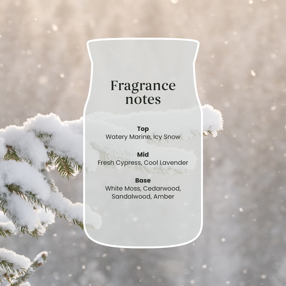 Snow Kissed Pine Large Jar