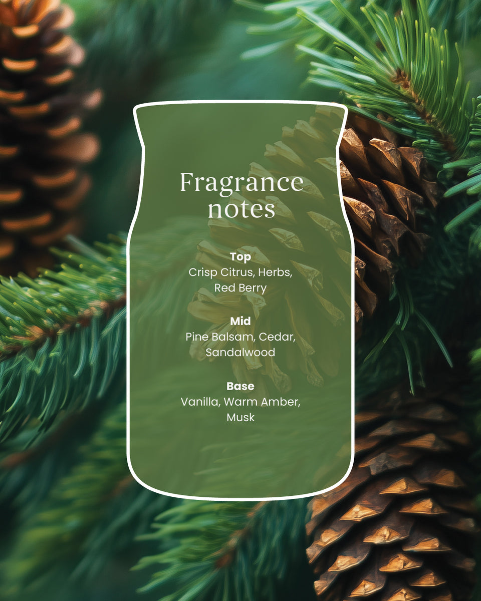 Balsam & Cedar Fireside Large Jar