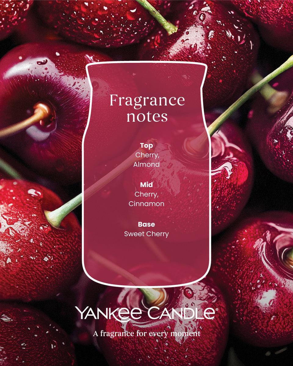 Black Cherry Signature Large Jar - SALE