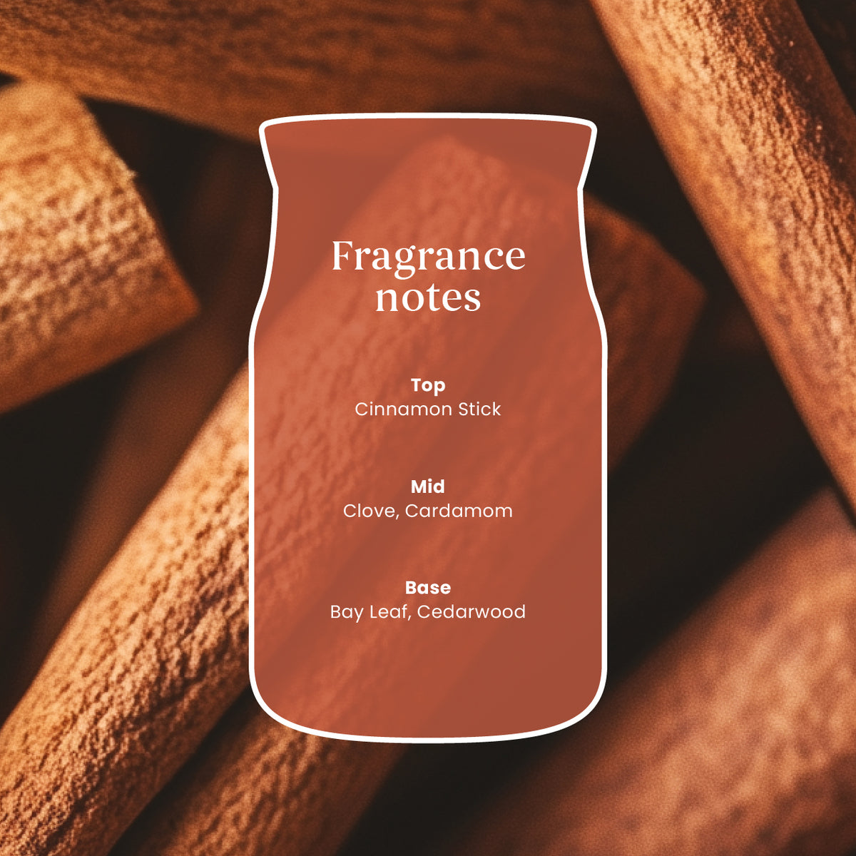 Cinnamon Stick Medium Jar