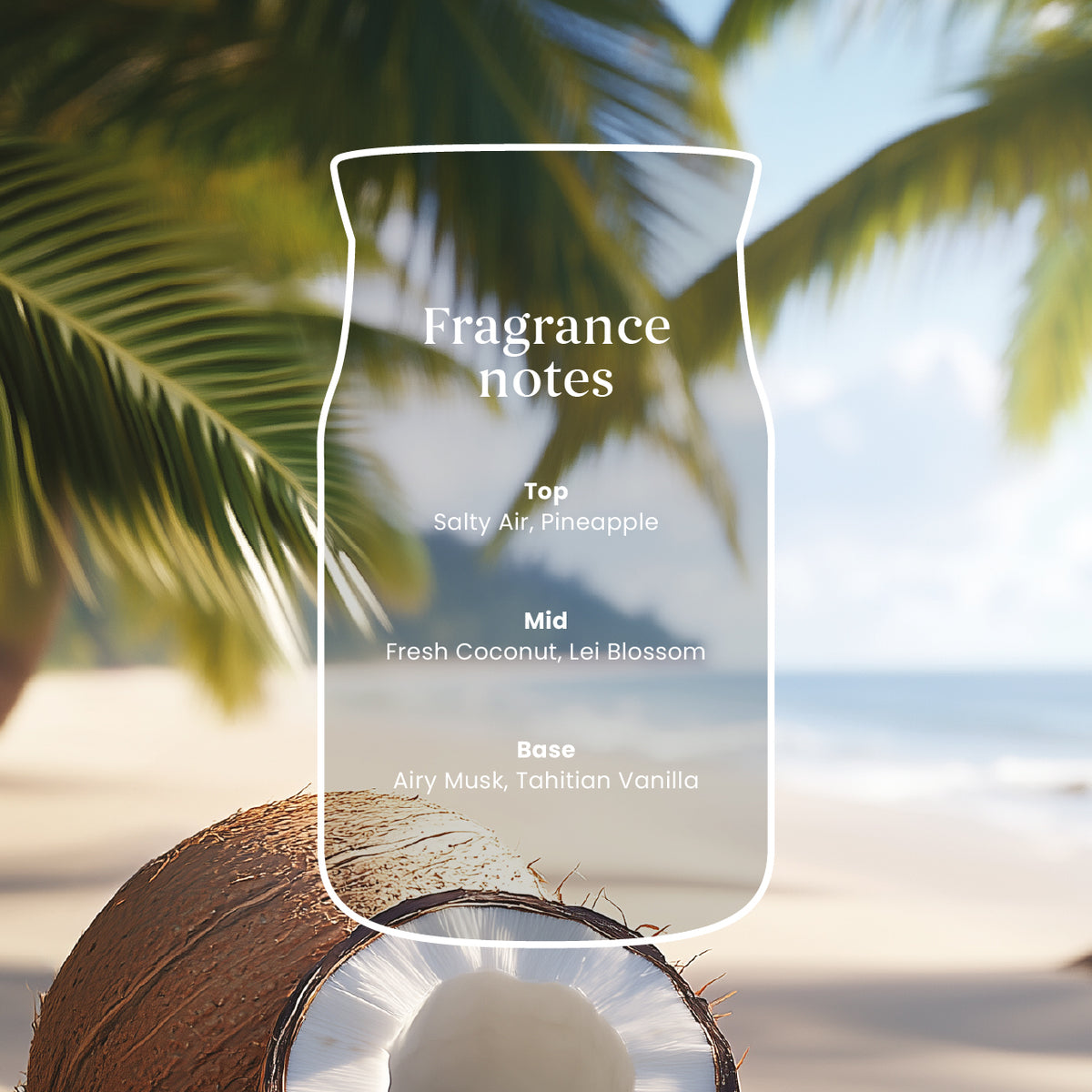 Black Coconut Small Jar
