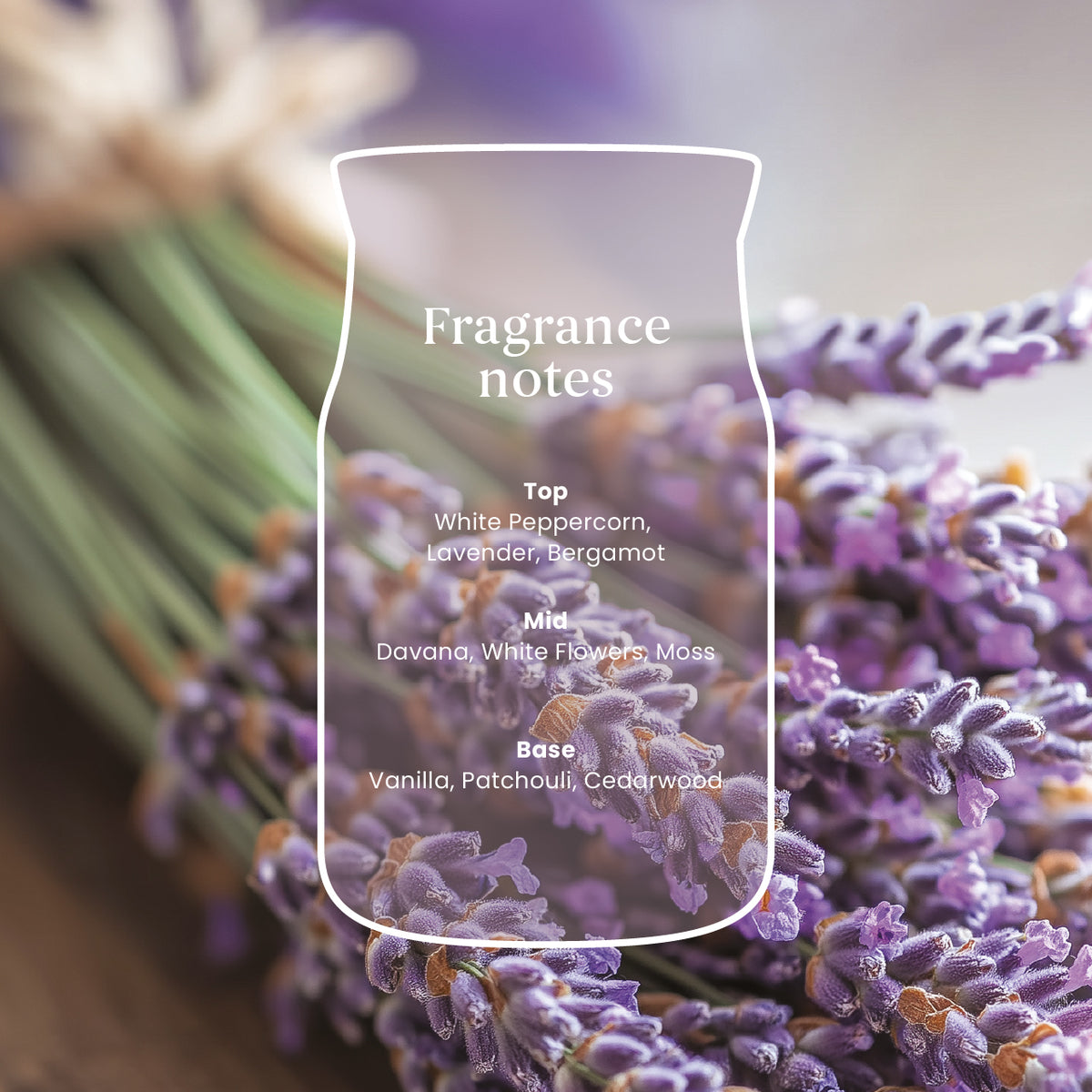 Dried Lavender & Oak Mini Candle