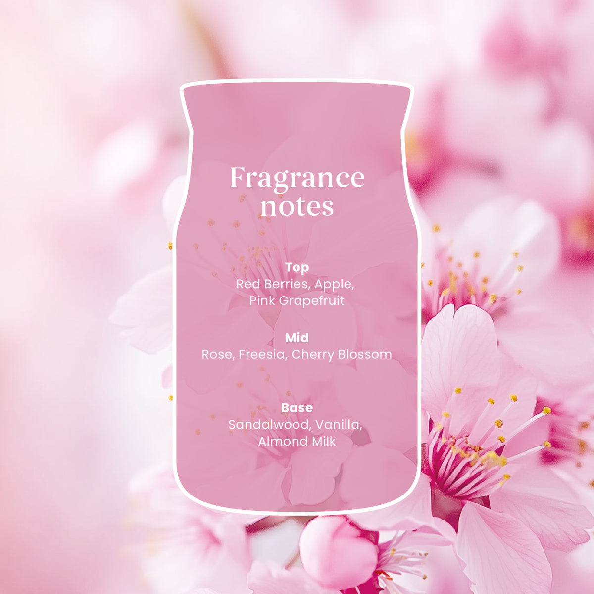 Enchanting Cherry Blossoms Large Jar