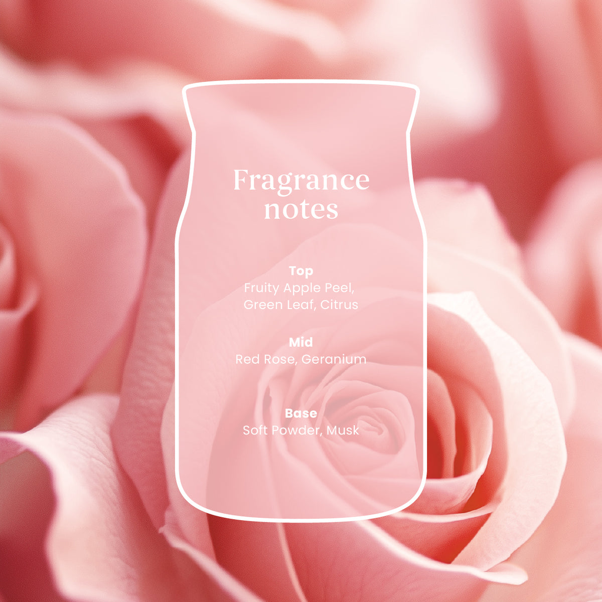 Fresh Cut Roses Medium Jar